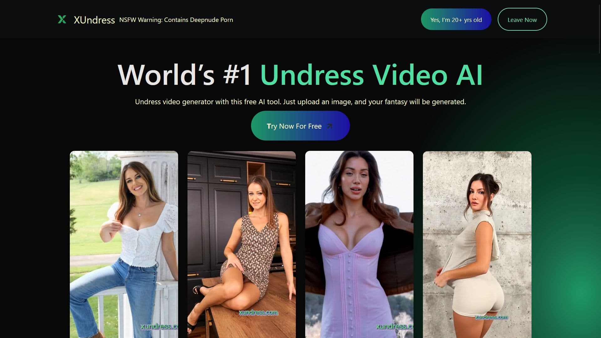 XUndress screenshot 1