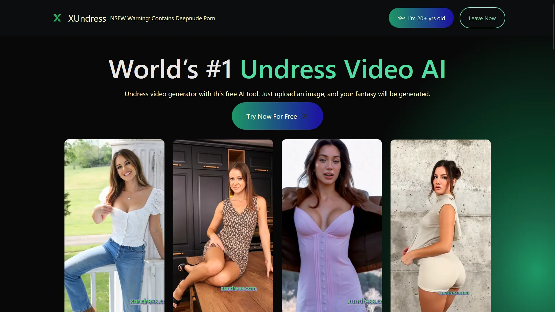 XUndress screenshot 1