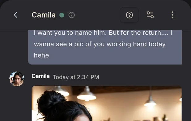 The New Girl screenshot 1